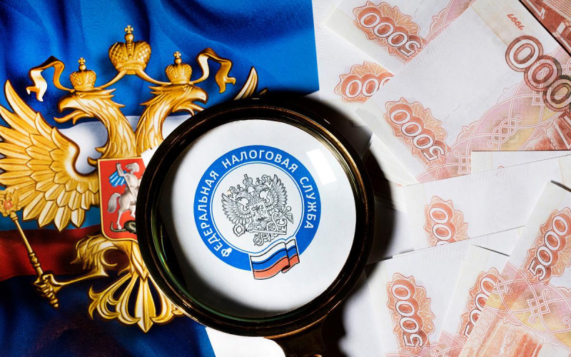 Виды налогов: какие бывают в России, примеры | РБК Инвестиции