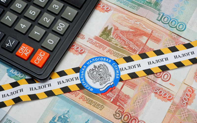 Налоговые льготы: что такое, виды, примеры, кому предоставляются | РБК Инвестиции